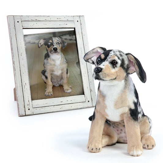 Stuffed Animal Of Your Pet - Cuddle Clones - Custom Dog Pet Memorial Stuffed Animal Clone