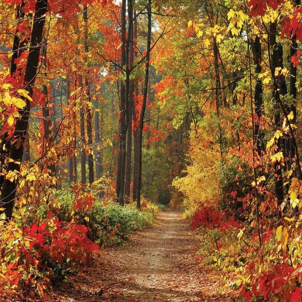 10x10ft Autumn Scenery Deciduous Background Vinyl Deciduous Mountain Road Photography Backdrop Tree And Yellow Fall Leaves View Background